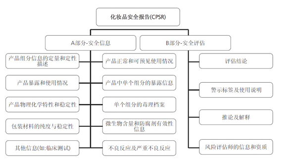 化妆品安全报告(图1)